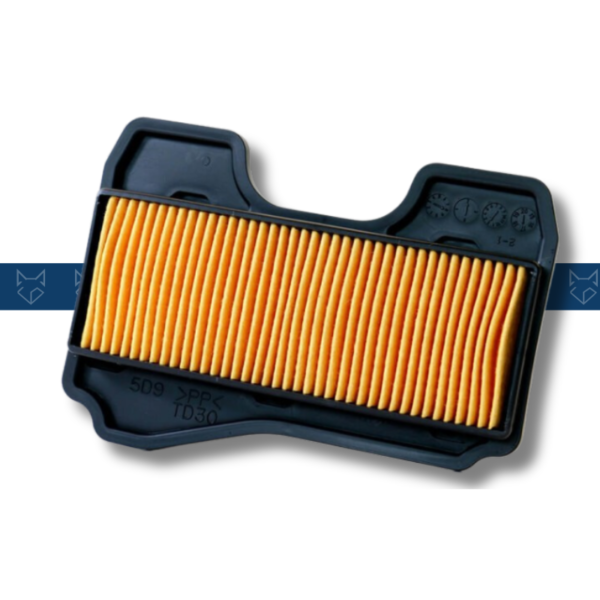 Filtro de Aire YBR 125