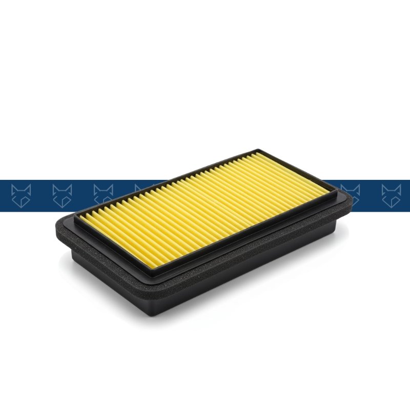 Filtro de Aire Xpulse 200